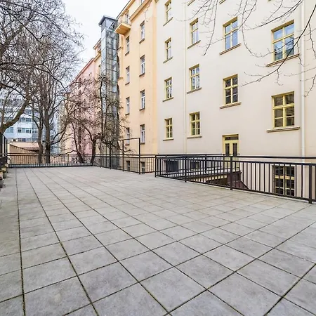 Center Deer * Prag